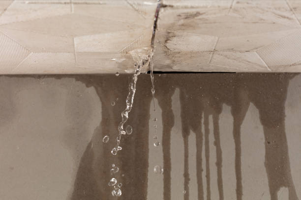 Professional Water Damage Restoration technician working in Creston, IA